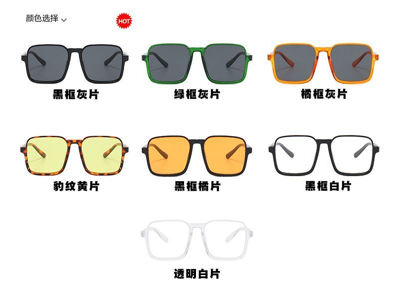 Square Sunglasses Resin