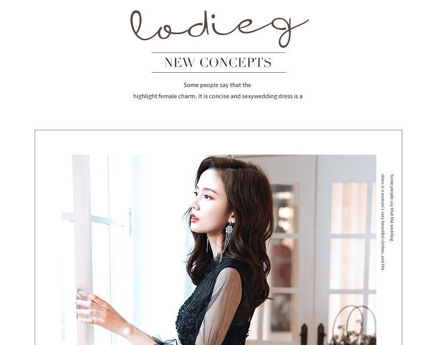 Cocktail Neck Beaded / Mock A-Line Embroidered Dress Flower Puff-Sleeve Gown Midi Evening