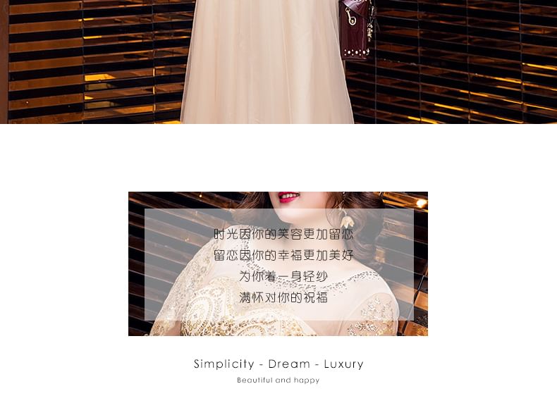 Plus Size Cap Sleeve Sequined Detail Mesh A-Line Evening Gown