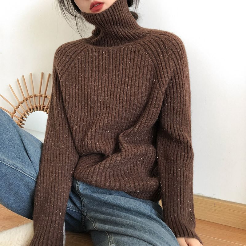 Turtleneck Plain Ribbed Sweater