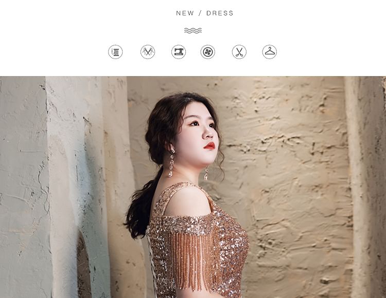 Plus Size Cold-Shoulder Sequin Fringed A-Line Evening Gown