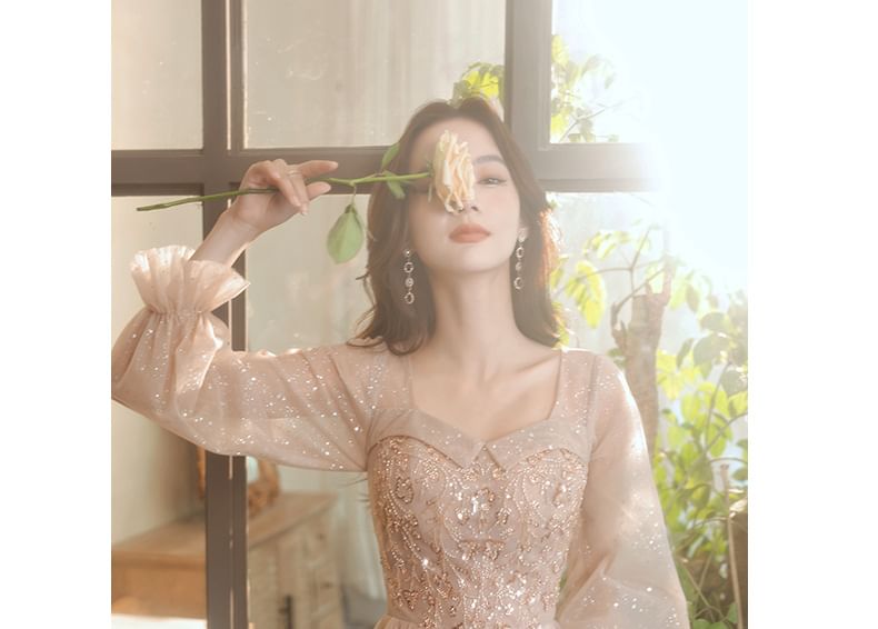 Puff-Sleeve V-Neck Sequin Mesh A-Line Evening Gown / Dress