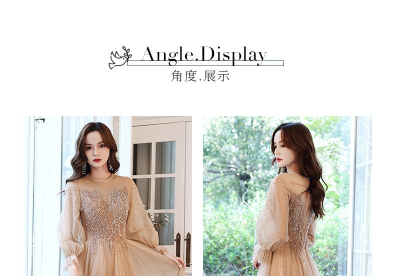 Evening / Dress Mesh A-Line Long-Sleeve Sequin Gown