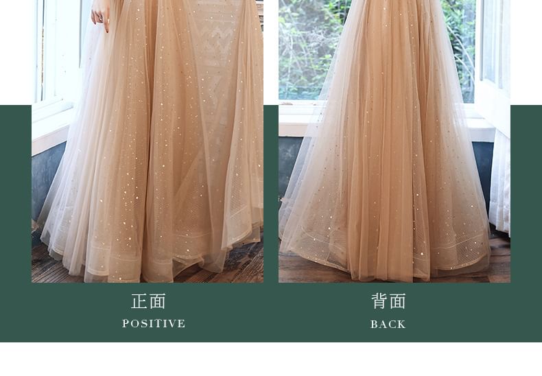 Evening / Dress Mesh A-Line Long-Sleeve Sequin Gown