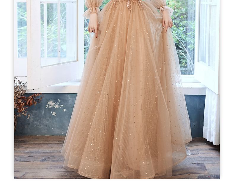 Evening / Dress Mesh A-Line Long-Sleeve Sequin Gown
