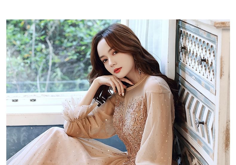 Evening / Dress Mesh A-Line Long-Sleeve Sequin Gown