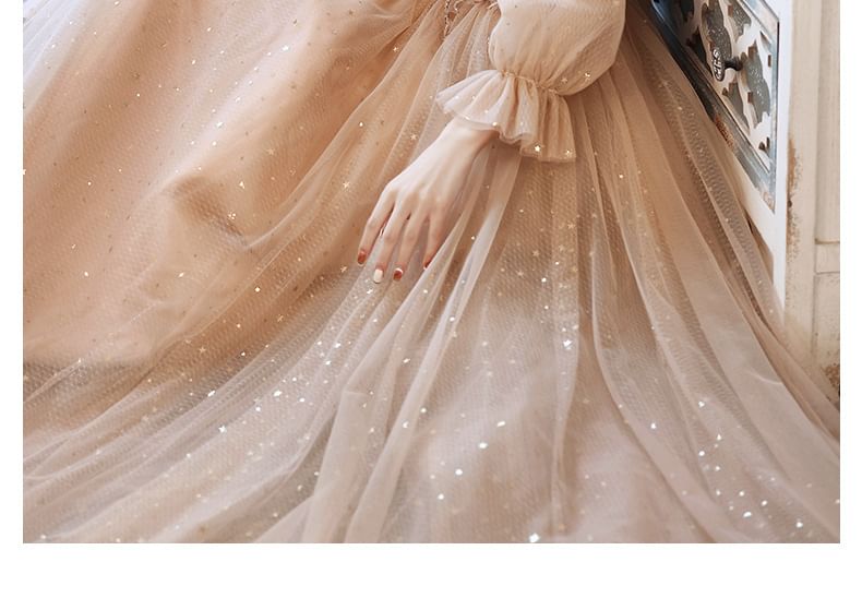 Evening / Dress Mesh A-Line Long-Sleeve Sequin Gown