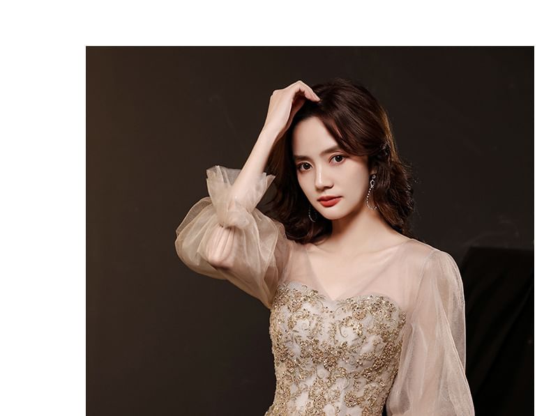 Gown Dress Mesh Evening A-Line Long-Sleeve / V-Neck