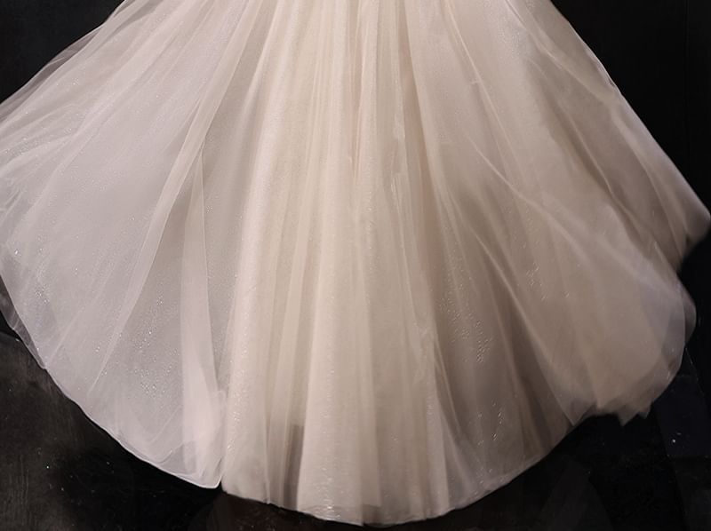 (Various Designs) Evening Gown Tulle A-Line Short-Sleeve Sequin