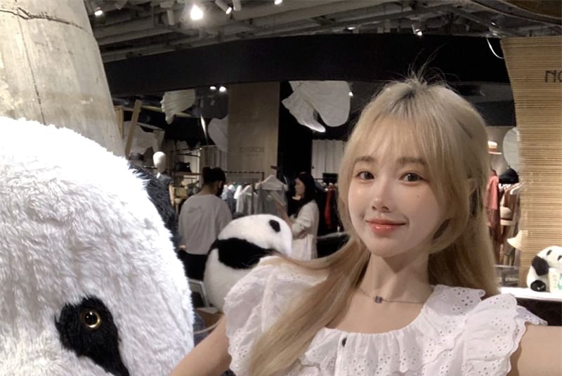 A-Line Trim Waist Lace Cap-Sleeve High / Flower Blouse Plain Mini Embroidered Skirt