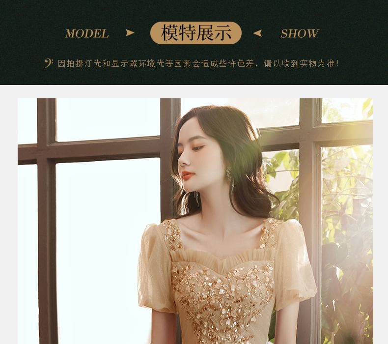 Evening / Gown Sequin Midi Short-Sleeve Dress Mesh A-Line