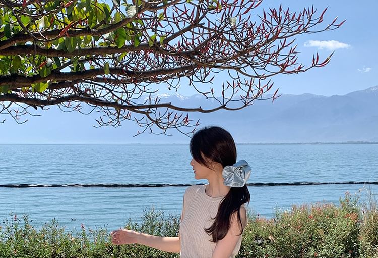 Sleeveless Neck Ribbed Plain Top Crew Knit