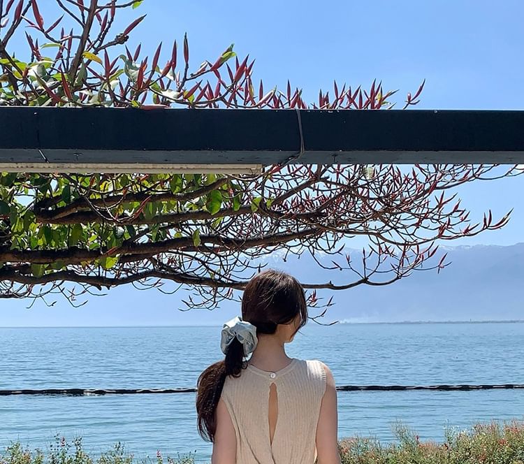 Sleeveless Neck Ribbed Plain Top Crew Knit