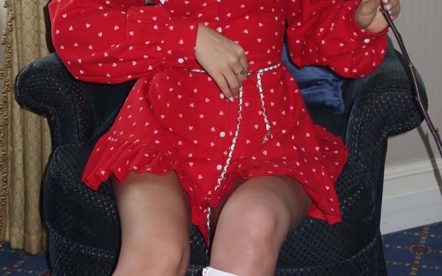 A-Line Ruffle Mini Dress Collar Long-Sleeve Button-Up Contrast Hem