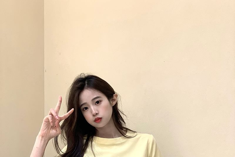 Embroidered Crop Short-Sleeve Crewneck T-Shirt