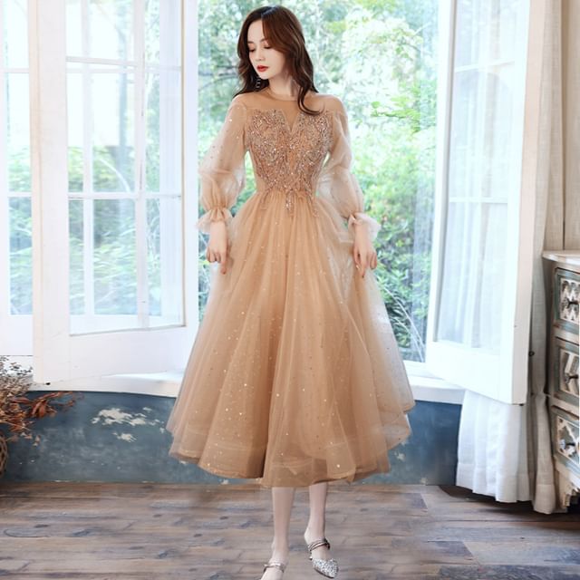 Evening / Dress Mesh A-Line Long-Sleeve Sequin Gown