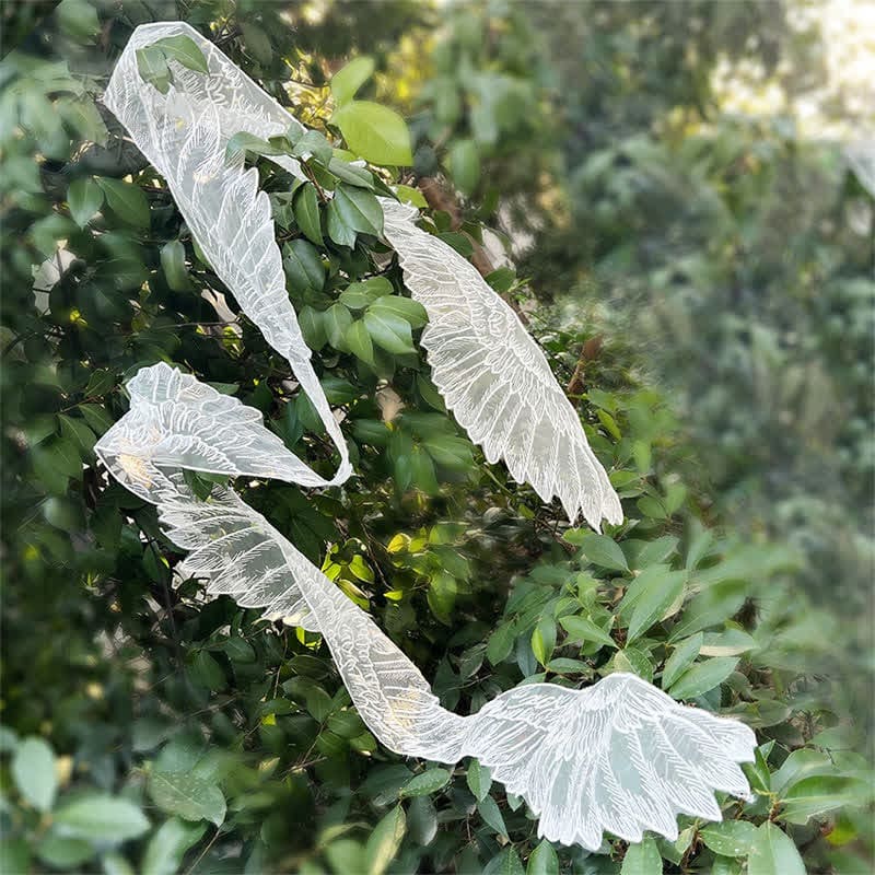 Aesthetic Butterfly Wing Embroidery Shawl