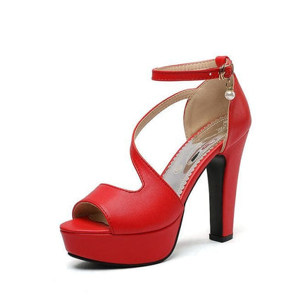 Ankle Strap Platform Chunky Heel Sandals - Red / 34