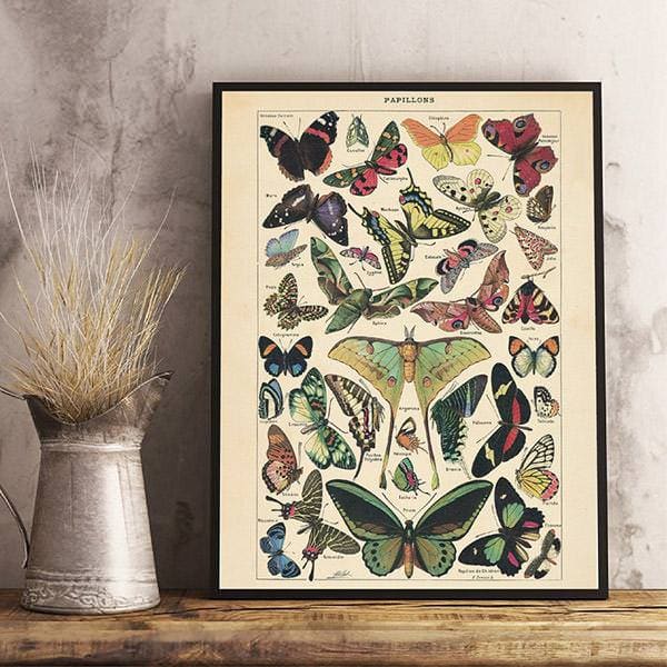 Butterfly Vintage Poster