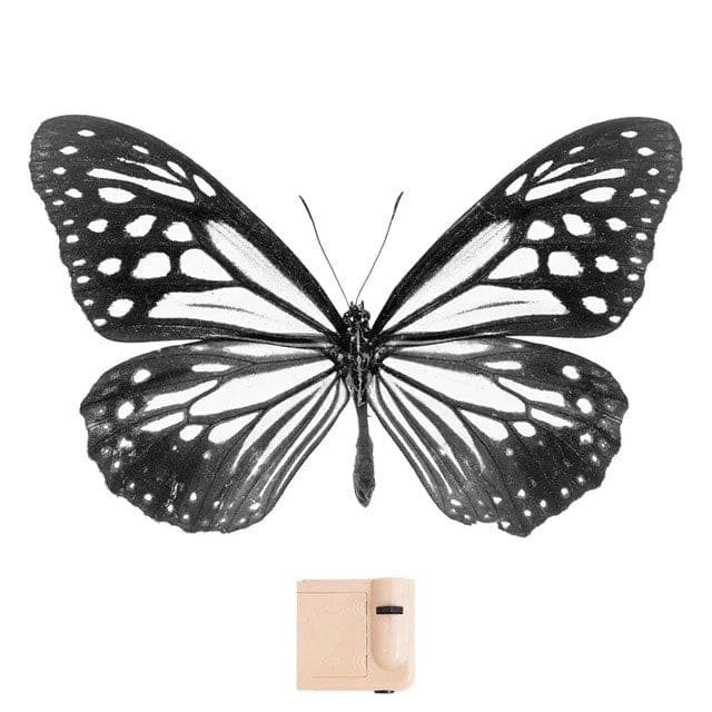 Butterfly Wings Projector - Standart / Black