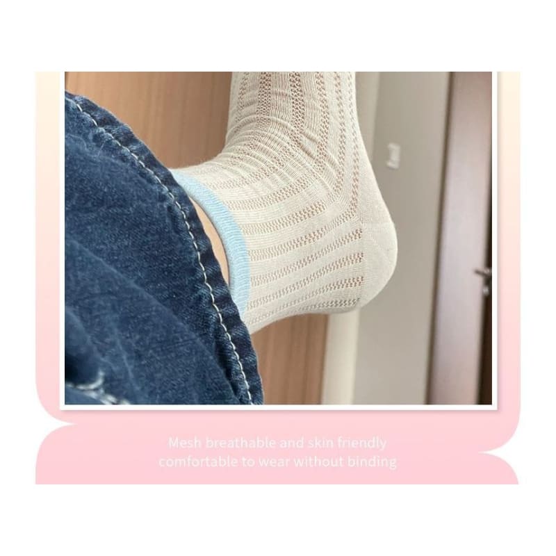 Contrast Trim Pointelle Knit Socks / Set