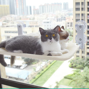 Cute Cat Window Bed Hammock ON702