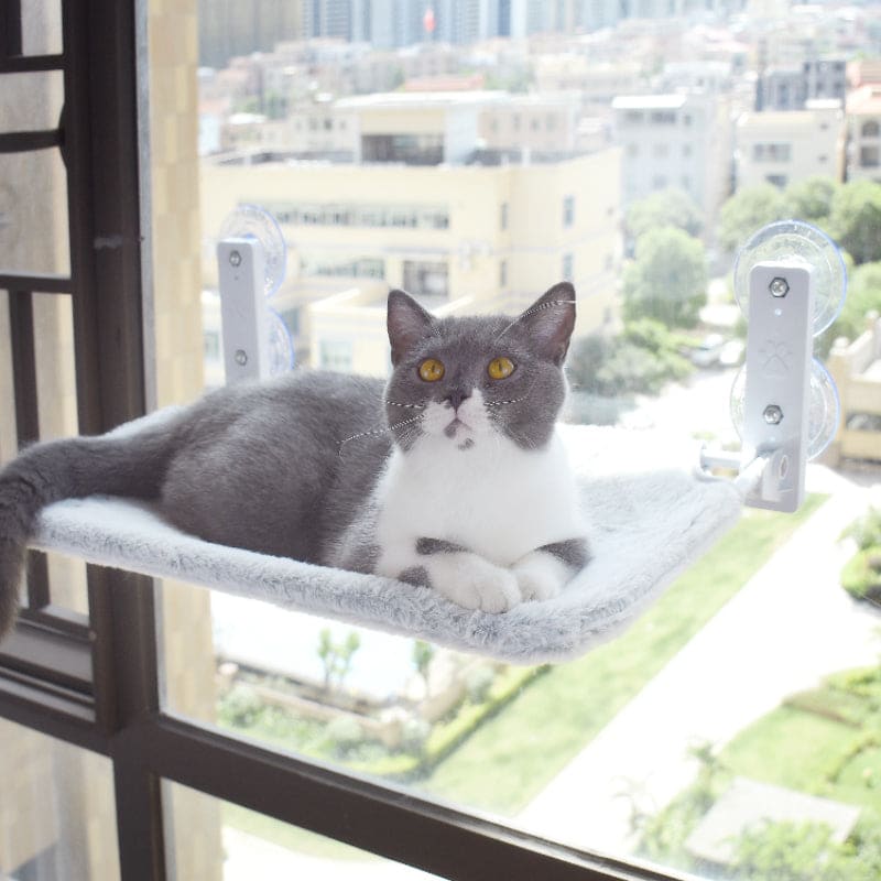 Cute Cat Window Bed Hammock ON702