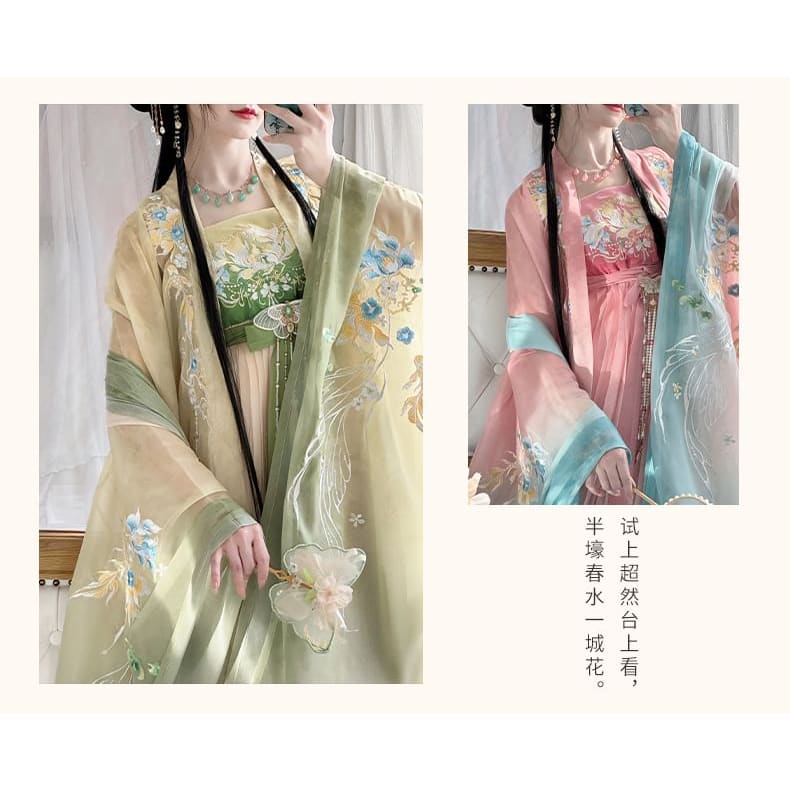 Floral Embroidered Hanfu Maxi Dress / Embroidered Light