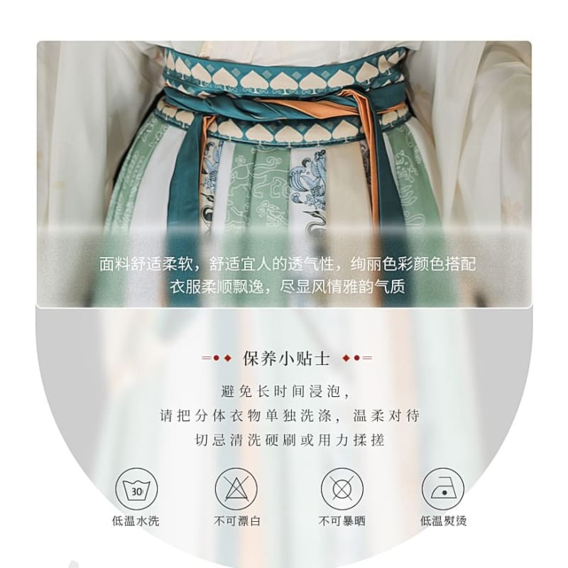 Floral Embroidered Hanfu Top / Light Jacket / Mid Rise Maxi