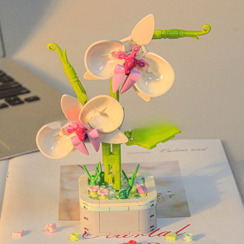 Flowers Plants Compatible Building Block - Phalaenopsis