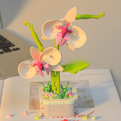 Flowers Plants Compatible Building Block - Phalaenopsis