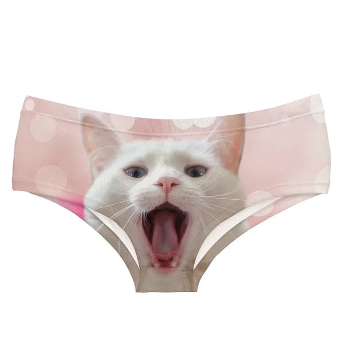 Kawaii Pink Kitty Panty - S / Pink - Briefs