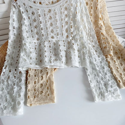 Long-Sleeve Crew Neck Crochet Lace Top