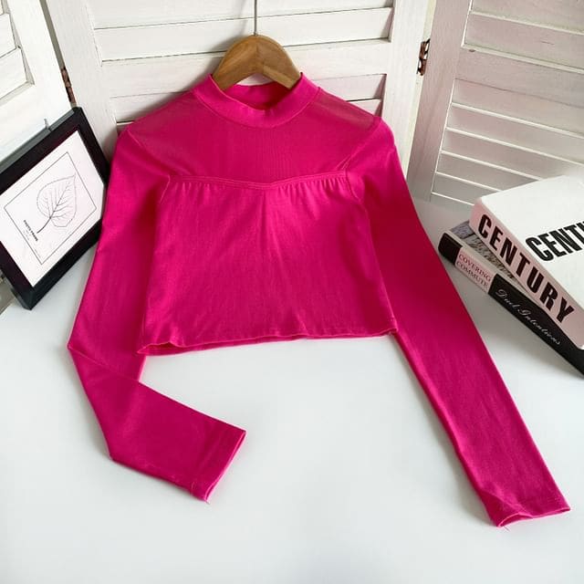 Long-Sleeve Crew Neck Plain Mesh Panel Crop T-Shirt - Rose