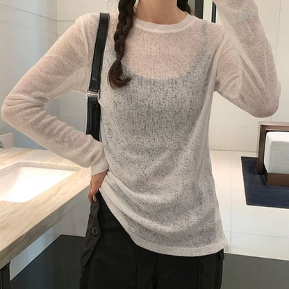 Long Sleeve Crew Neck Plain Sheer Knit Top