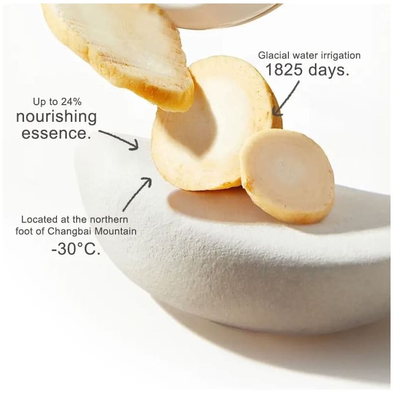 Moisturizing Cushion Foundation