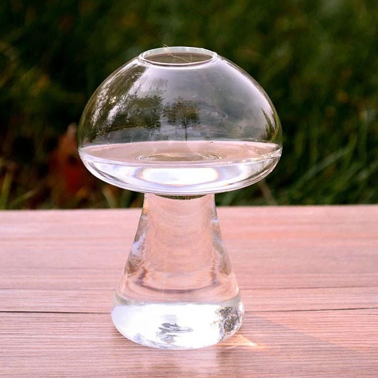 Mushroom Shaped Glass Vase - Clear