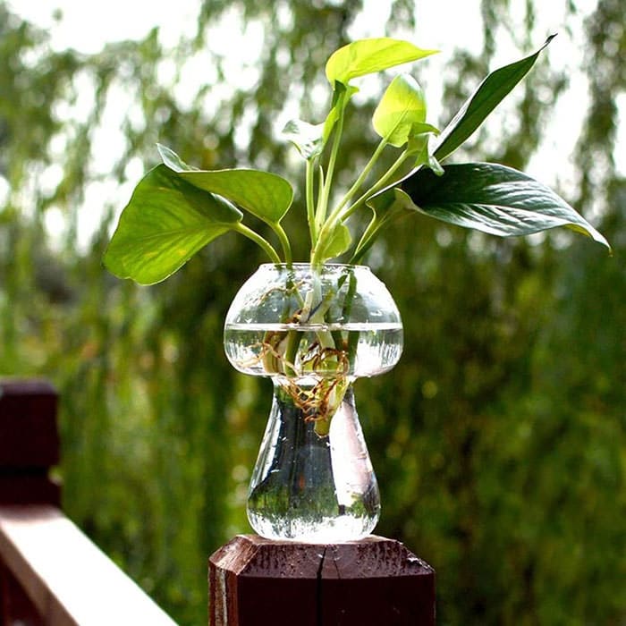 Mushroom Shaped Glass Vase - Clear