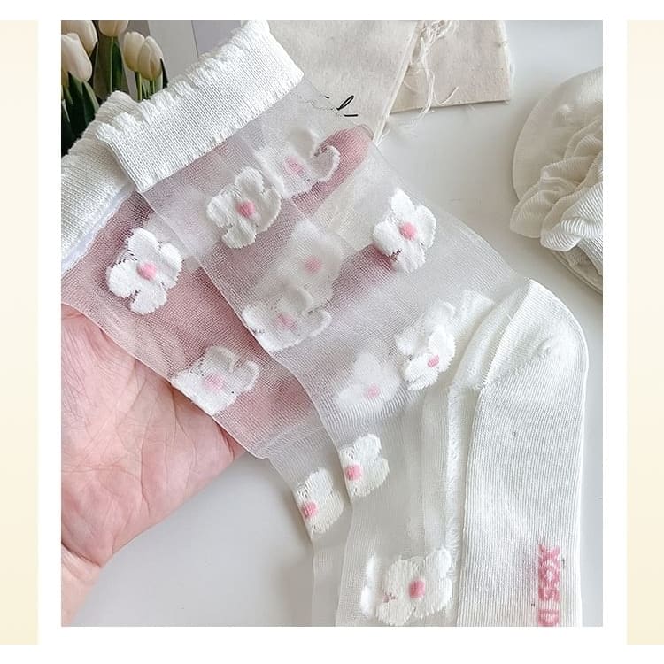 Sheer Socks Set