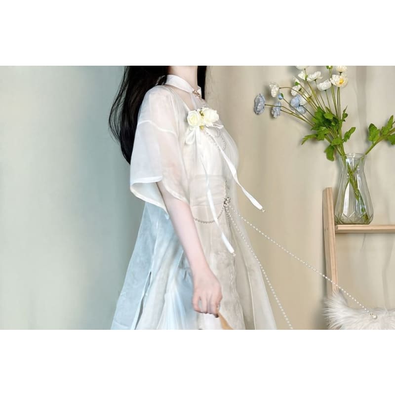 Short-Sleeve Sheer Panel Maxi Sheath Lolita Dress / Light