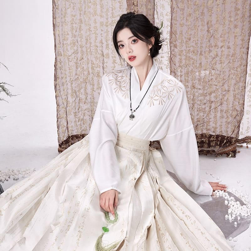 Traditional Chinese Long-Sleeve Top / Pleated Maxi A-Line