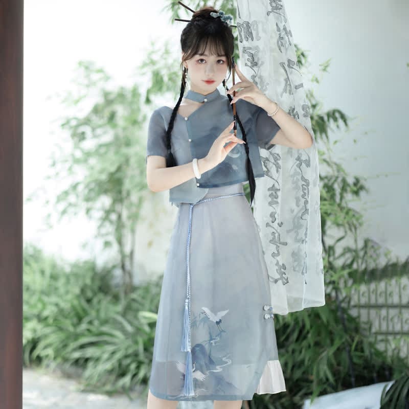 Vintage Crane Print Irregular T-Shirt Skirt