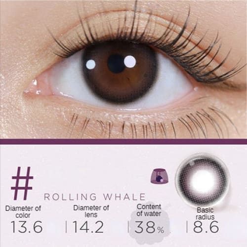 Black Angle Fondant Contact Lenses Half Year One Pair ME34 -