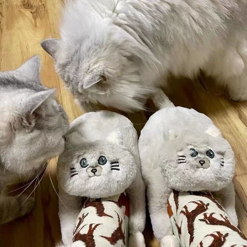 Kitty Home Slippers - slippers